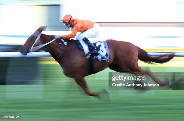Corey Brown rides Terravista during George Main Stakes Day at Royal Randwick Racecourse on September 20, 2014 in Sydney, Australia.