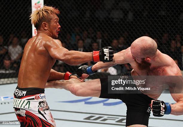 Richard Walsh kicks Kiichi Kunimoto in their welterweight bout during the UFC Fight Night event inside the Saitama Arena on September 20, 2014 in...