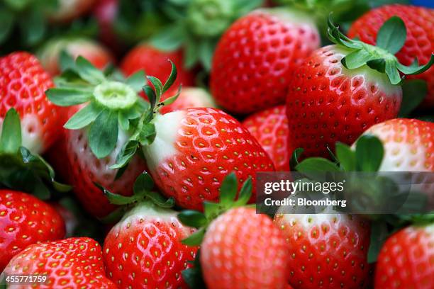 Harvested strawberries sit in a basin at a greenhouse in Nonsan, South Chungcheong province, South Korea, on Thursday, Dec. 12, 2013. South Koreas...