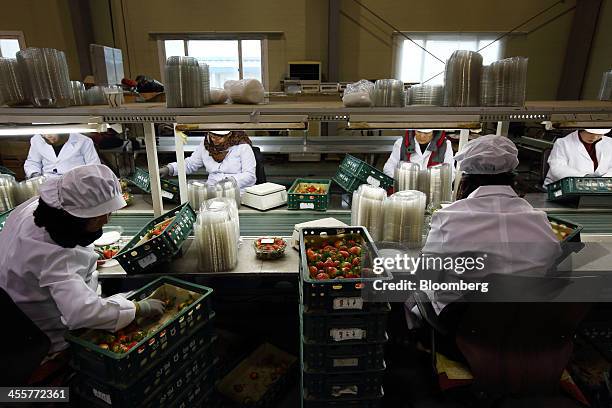 Workers pack strawberries and places them on a conveyor at a packing warehouse, operated by the National Agricultural Cooperative Federation , in...