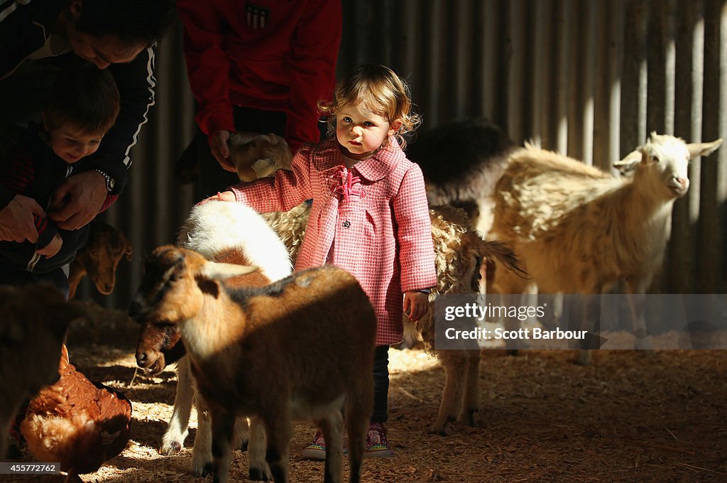 The Royal Melbourne Show 2014