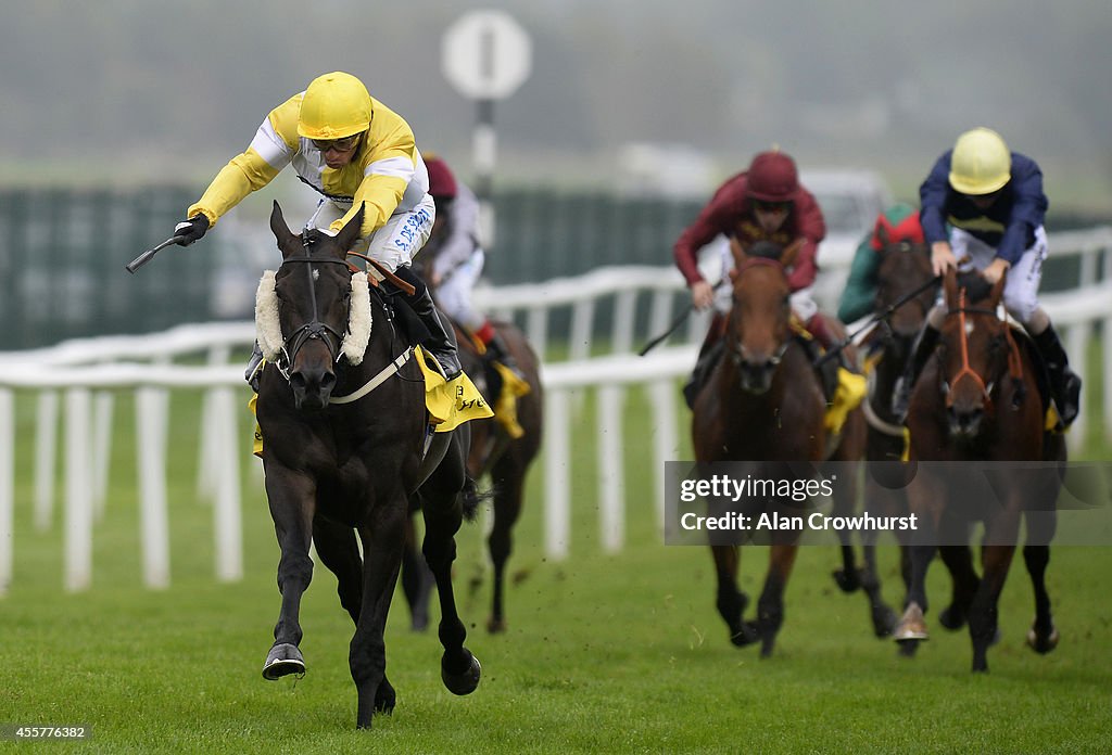 Newbury Races