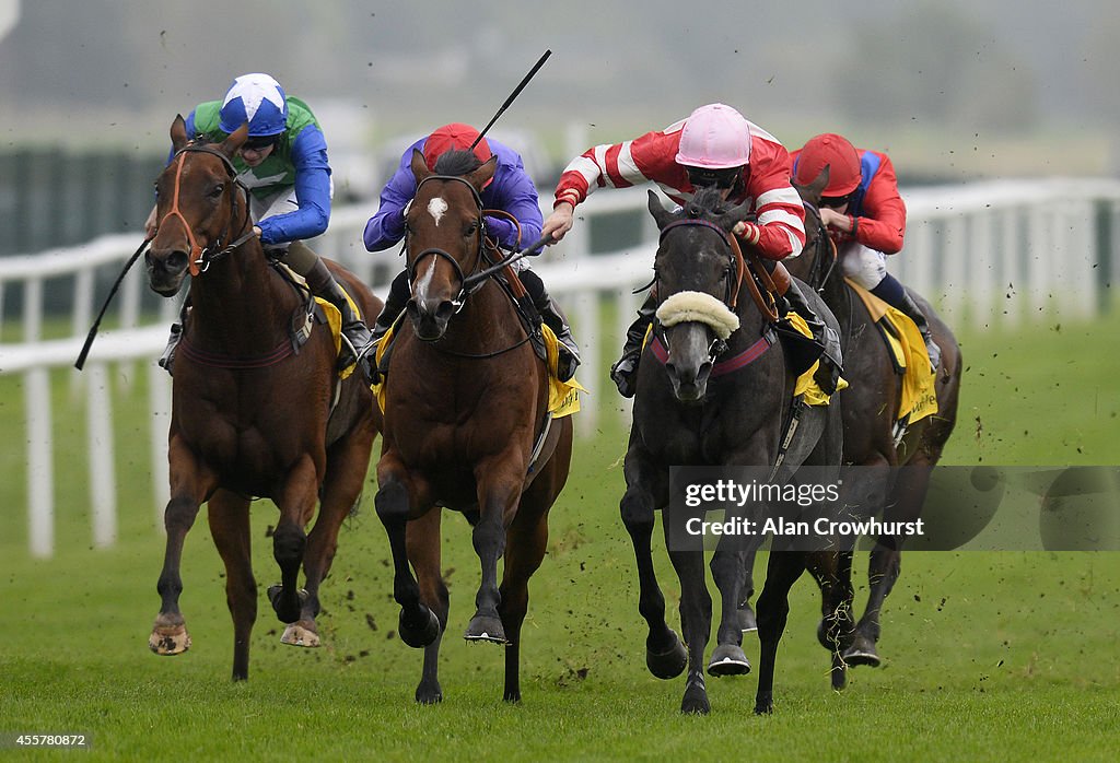 Newbury Races