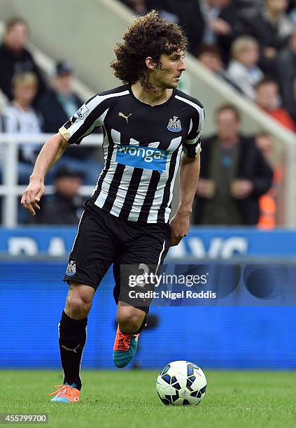 Fabricio Coloccini of Newcastle United during Premier League Football match between Newcastle United and Hull City at St James' Park on September 20,...