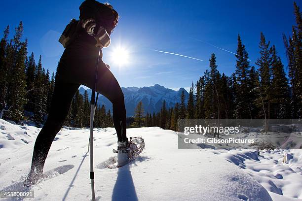 snowshoe adventure - canmore stock pictures, royalty-free photos & images