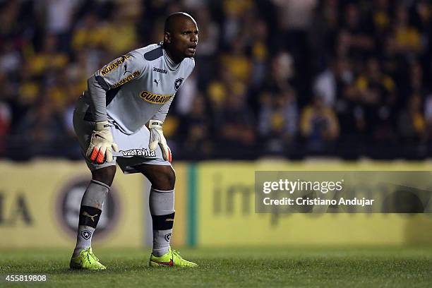 Goalkeeper Jefferson of Botafogo waiting for the free kick during a match between Criciuma and Botafogo as part of Campeonato Brasileiro 2014 at...