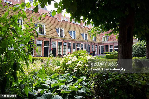 Backyard of a housing complex on June 20 in Groningen, Netherlands.
