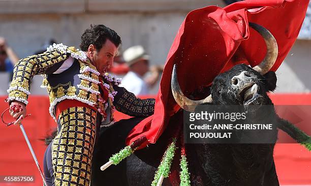 Spaniard Finito De Cordoba fights a Spanish Zalduendo bull on September 21, 2014 during the second bullfight of the Feria des Vendanges in the...