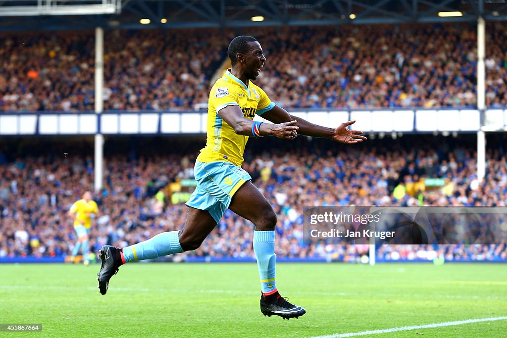 Everton v Crystal Palace - Premier League