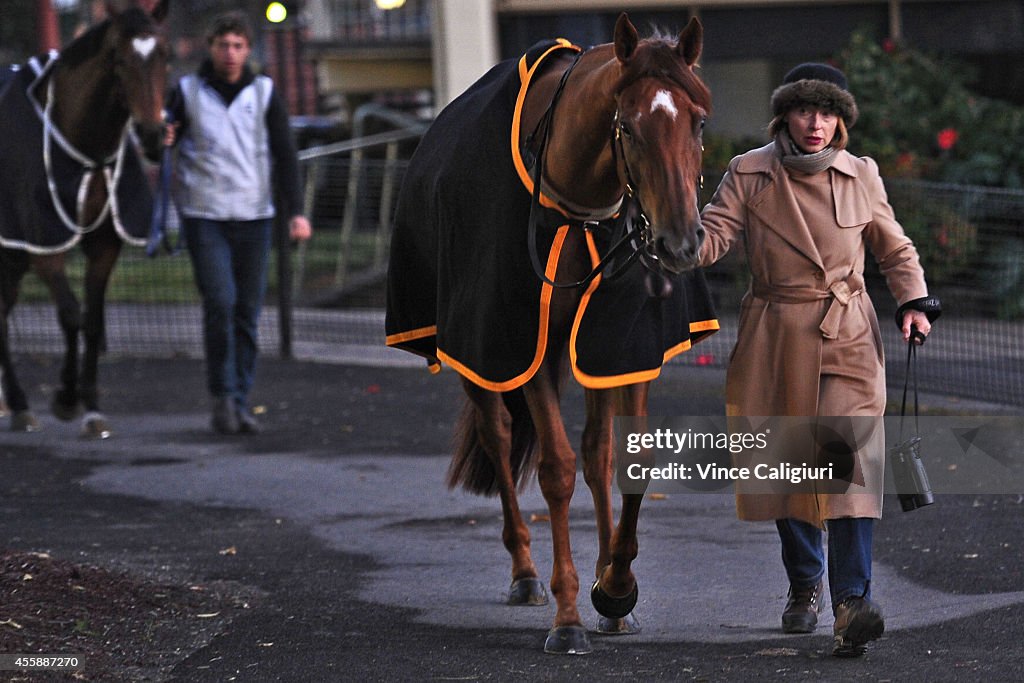 Moonee Valley Trackwork Session