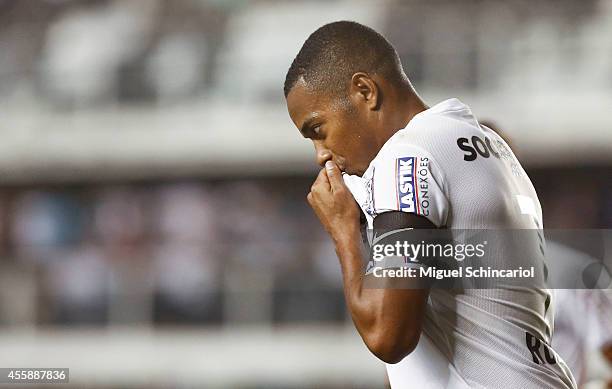 Robinho of Santos celebrates his goal scored during a match between Santos and Figueirense of Brasileirao Series A 2014 at Vila Belmiro Stadium on...