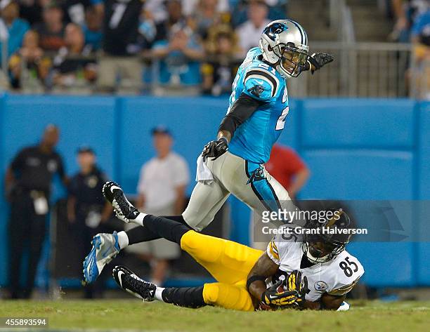 Thomas DeCoud of the Carolina Panthers is called for pass interference as he defends Darrius Heyward-Bey of the Pittsburgh Steelers during their game...