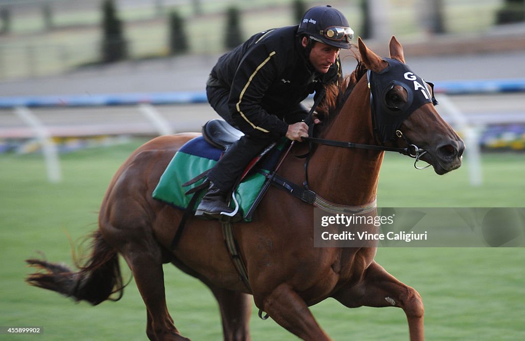 Moonee Valley Trackwork Session