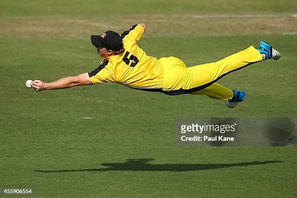 Jaron Morgan of the WA XI dives for a catch during the One Day tour match between the Western Australia XI and Afghanistan at the WACA on September...