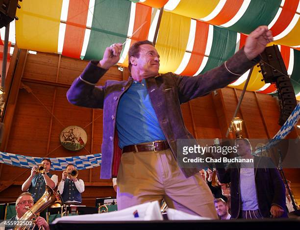 Arnold Schwarzenegger conducts the Orchestra in the Schuetzen-Festzelt during Oktoberfest at Theresienwiese on September 22, 2014 in Munich, Germany.