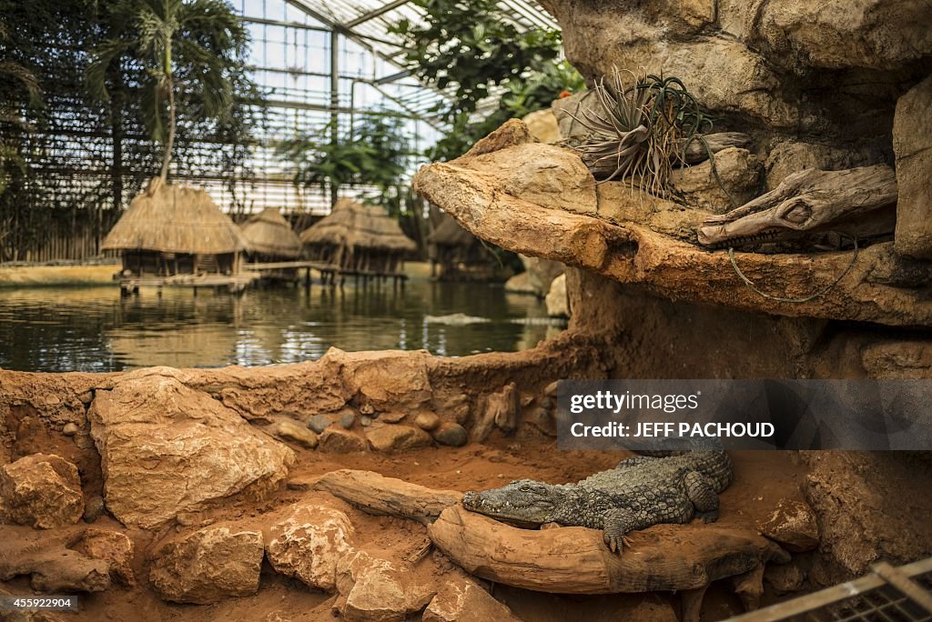 FRANCE-ANIMALS-ZOO-CROCODILES-BIRTH