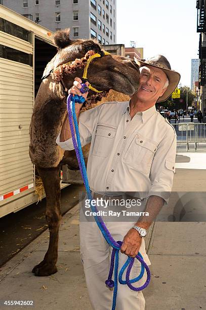 Zookeeper Jack Hanna poses for photos with Hersey the camel at the "Late Show With David Letterman" taping at the Ed Sullivan Theater on September...