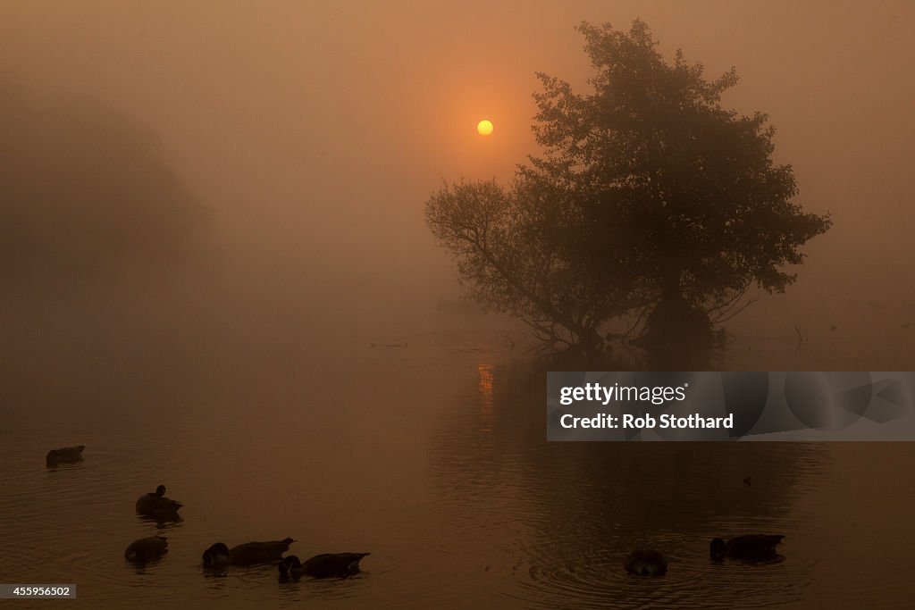 First Day Of Autumn In Richmond Park