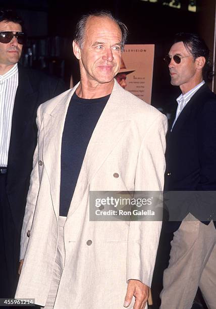 Actor Geoffrey Lewis attends the Screening of the TNT Original Movie "Amelia Earhart: The Final Flight" on June 6, 1994 at the DGA Theatre in West...