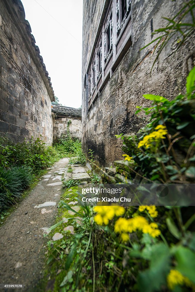 Daily Life In Hongcun Village