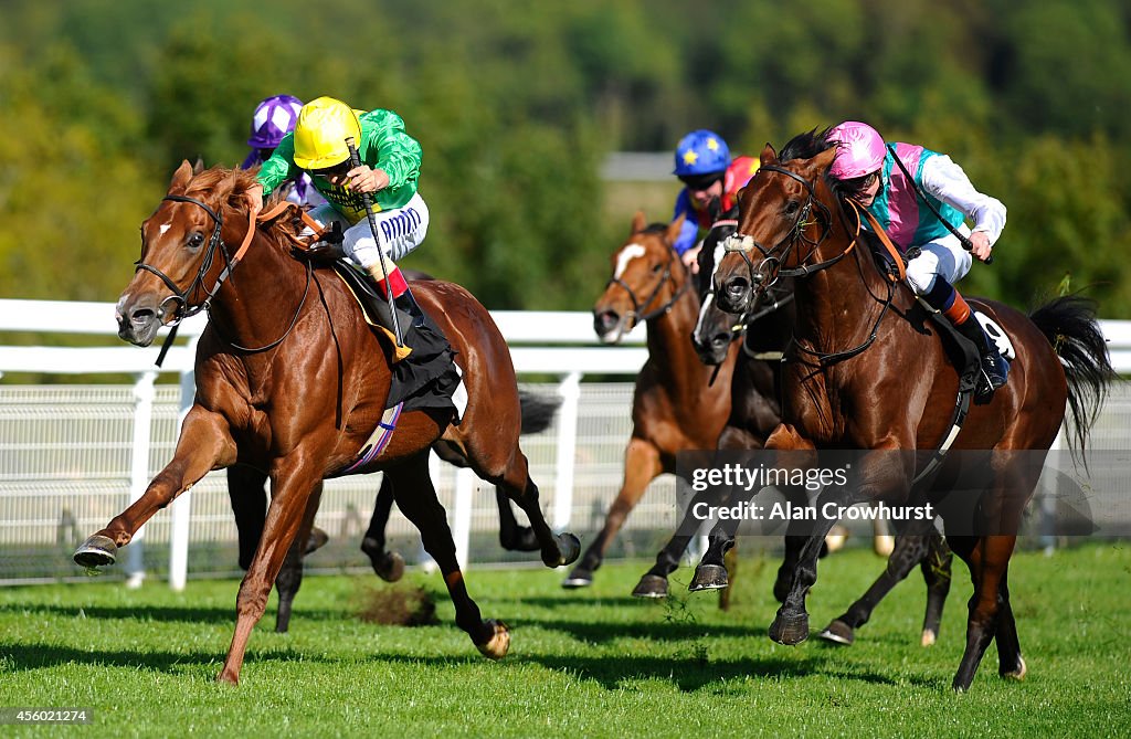 Goodwood Races