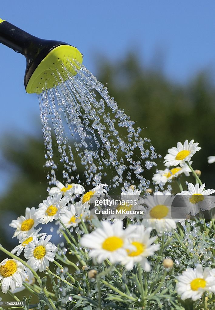 Gardening