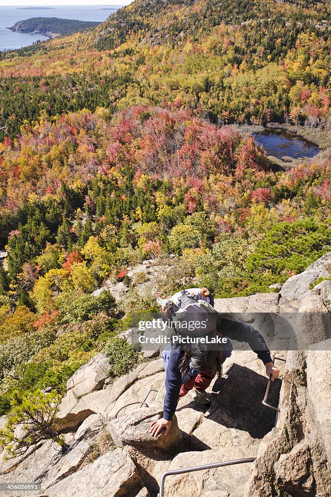 Mulher a escalar o Colméia, Parque nacional de Acadia, no outono