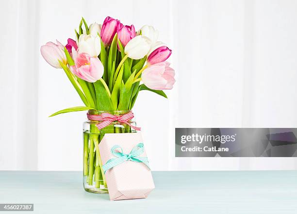 blumenstrauß und ein geschenk-horizontal - tulips cat stock-fotos und bilder