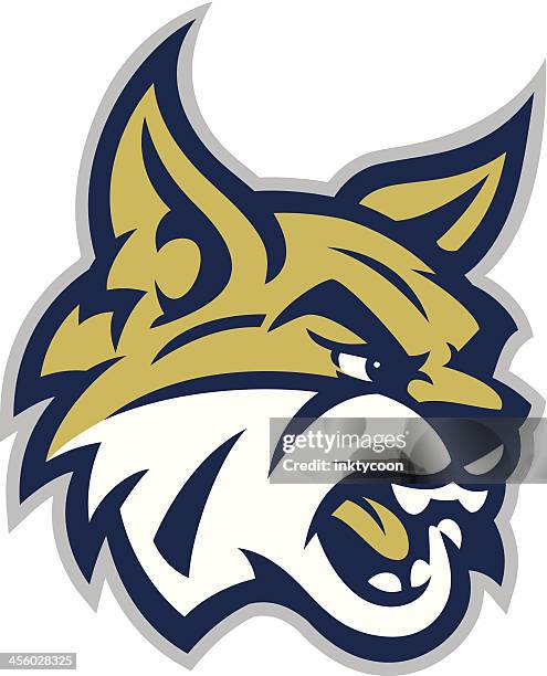 bobcat maskottchen kopf - rotluchs stock-grafiken, -clipart, -cartoons und -symbole