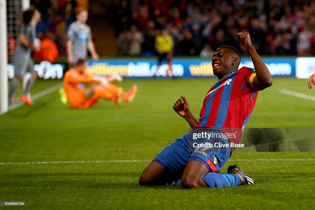 Crystal Palace v Newcastle United - Capital One Cup Third Round