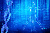 DNA molecules and virtuvian man