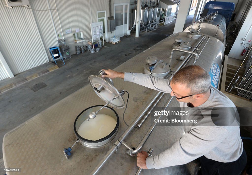 Milk Production At Serbia's Imlek AD And Mlekara Subotica AD Dairy Plants