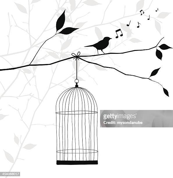 ilustrações, clipart, desenhos animados e ícones de pássaros cantando em um galho de árvore de conceito de liberdade - gaiola espaço confinado
