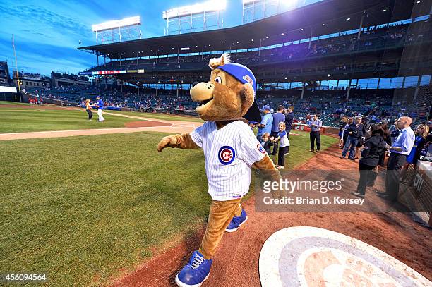 376 Chicago Cubs Mascot Stock Photos, High-Res Pictures, and