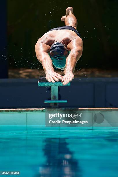 off to a great start! - swimmer diving into water stock pictures, royalty-free photos & images