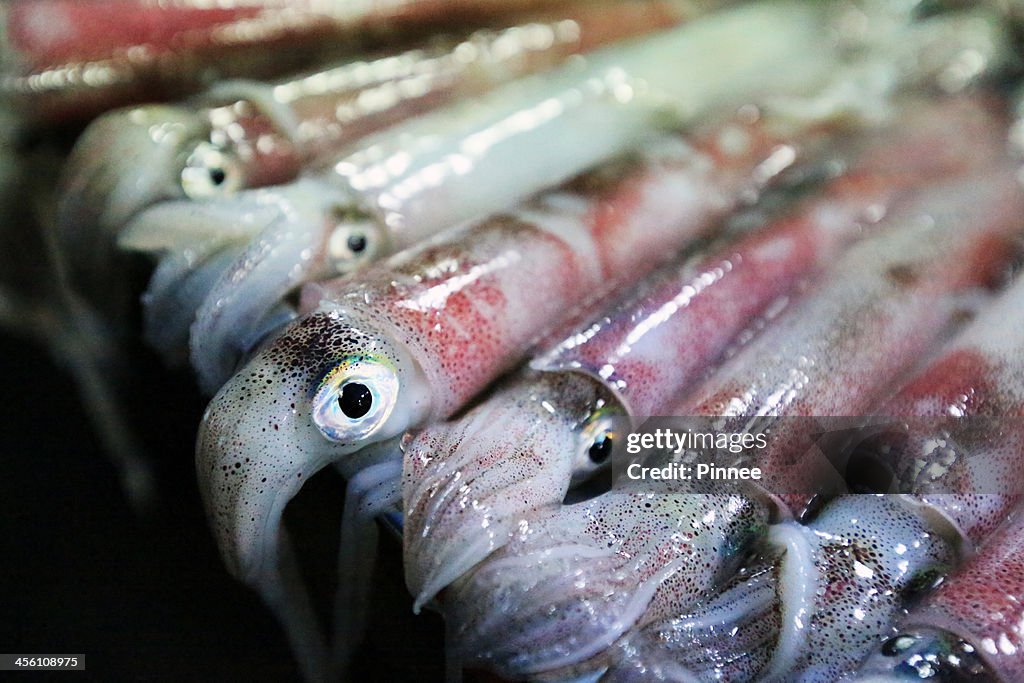 Just arrived alive squid in retails, Phu Quoc