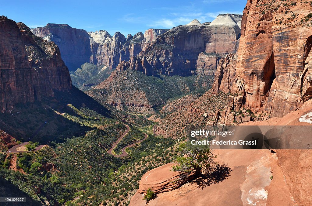 Zion Overlook Trail