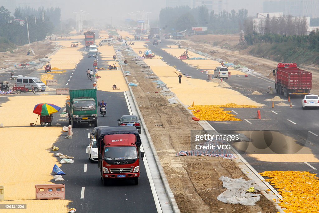 "Golden Road" In Zhengzhou