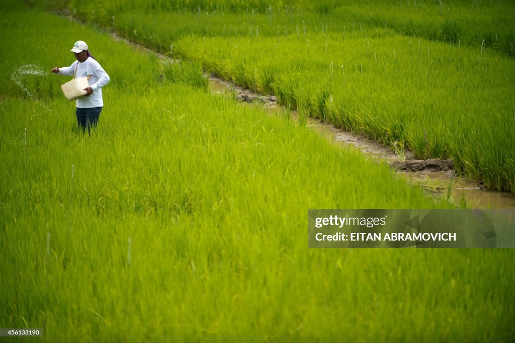 COLOMBIA-CLIMATE-ENVIRONMENT-AGRICULTURE