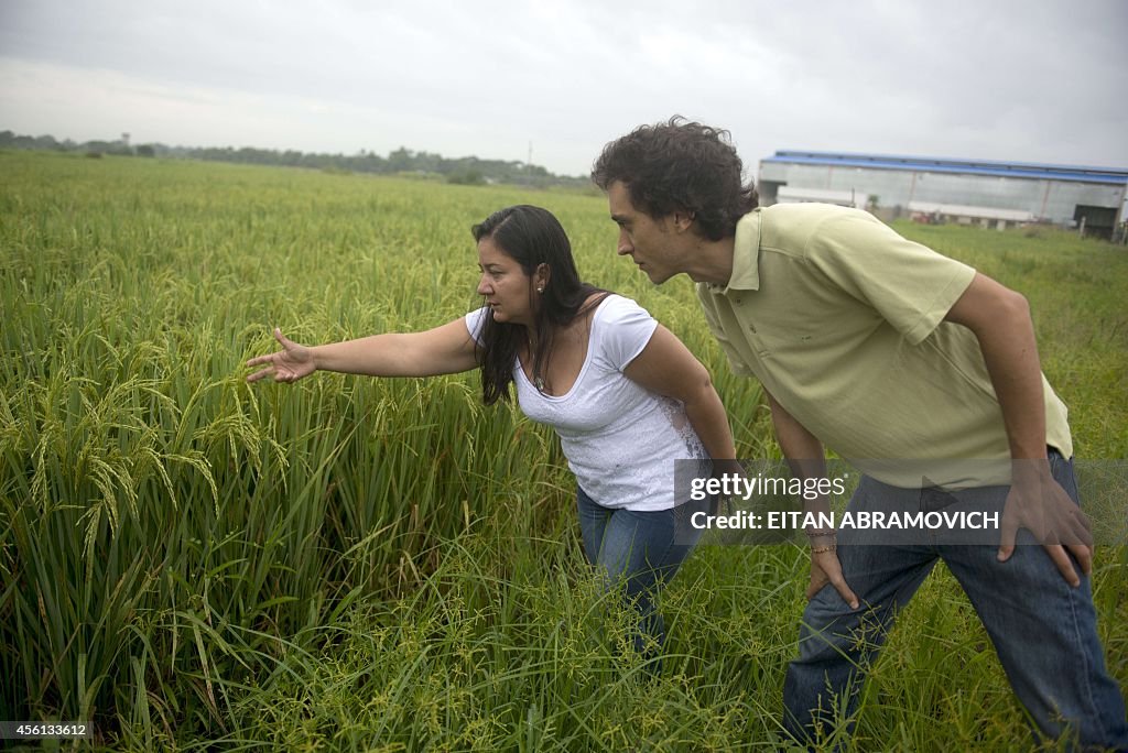 COLOMBIA-CLIMATE-ENVIRONMENT-AGRICULTURE