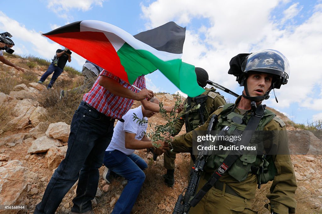 Israeli soldiers stop Palestinian villagers from farming...