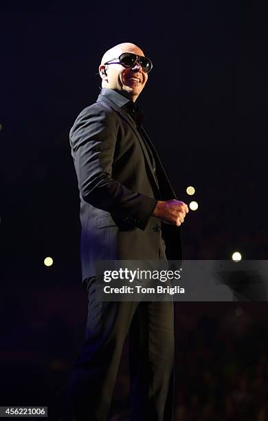 365 Champion Pitbull Stock Photos, High-Res Pictures, and Images ...