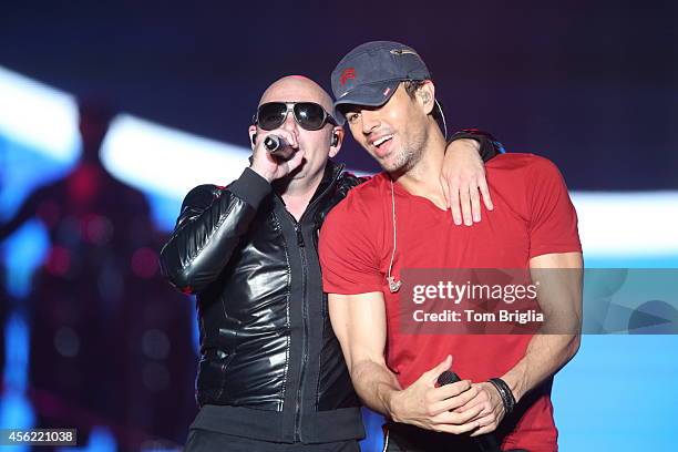 365 Champion Pitbull Stock Photos, High-Res Pictures, and Images ...