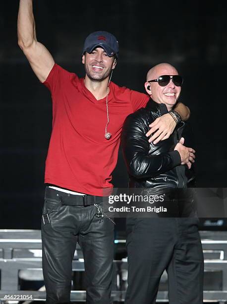 365 Champion Pitbull Stock Photos, High-Res Pictures, and Images ...