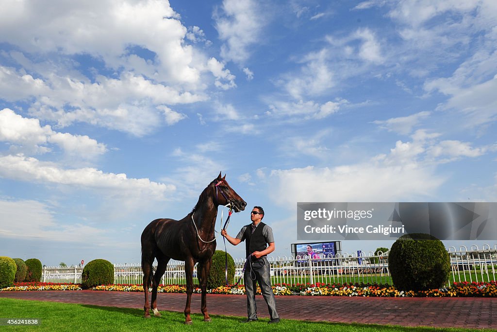 Melbourne Racing