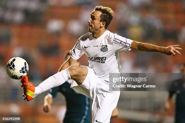 Thiago Ribeiro of Santos during a match between Santos and Goias of Brasileirao Series A 2014 at Pacaembu Stadium on September 28, 2014 in Sao Paulo,...