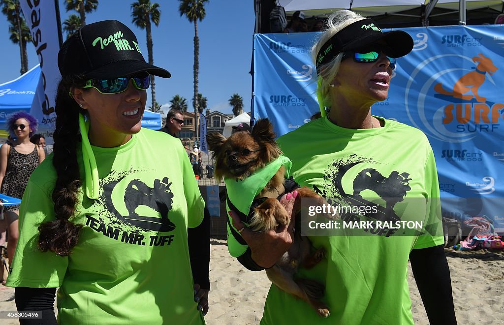 US-ANIMAL-SURF-DOG