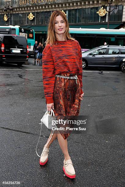 Hanneli Mustaparta attends the Stella McCartney show as part of the Paris Fashion Week Womenswear Spring/Summer 2015 on September 29, 2014 in Paris,...