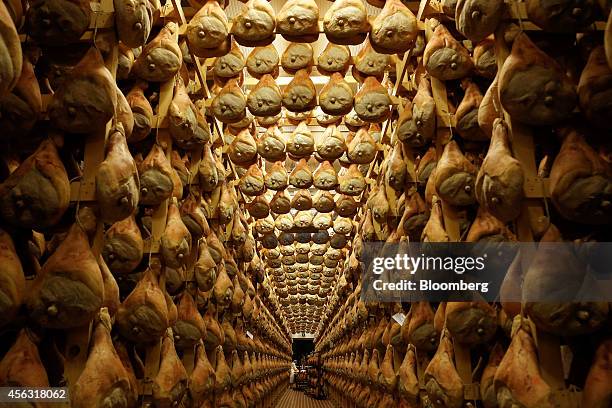Ham Curing Process Prosciutti Photos and Premium High Res Pictures - Getty Images