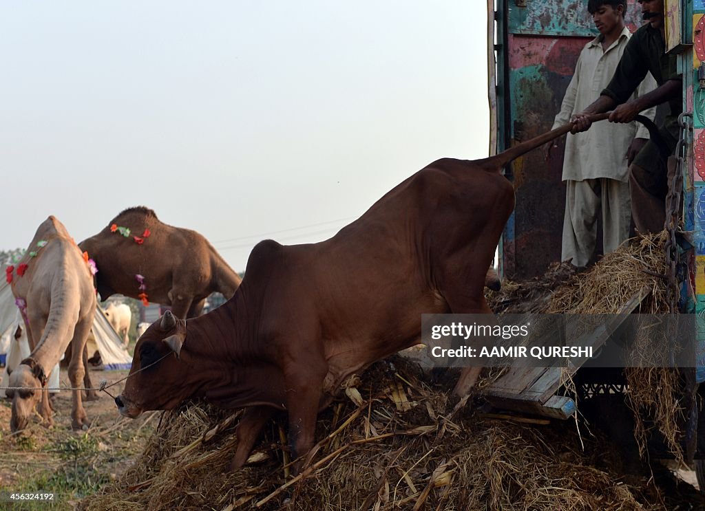 PAKISTAN-RELIGION-EID